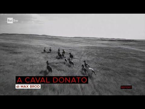 A caval donato – Report 10/01/2022