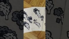 Private: [ID: ZARavRN06Yg] Youtube Automatic